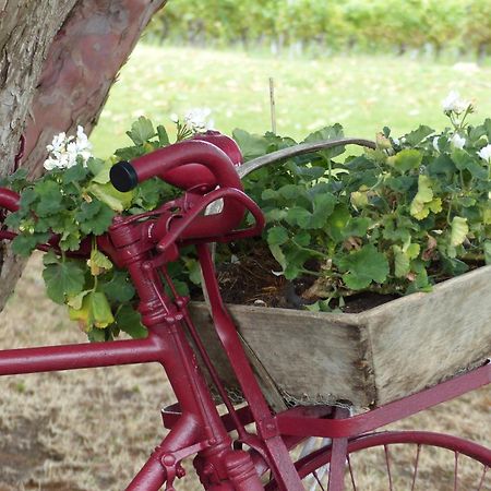 L'Alambic De L'Estuaire Bed and Breakfast Saint-Fort-sur-Gironde Buitenkant foto