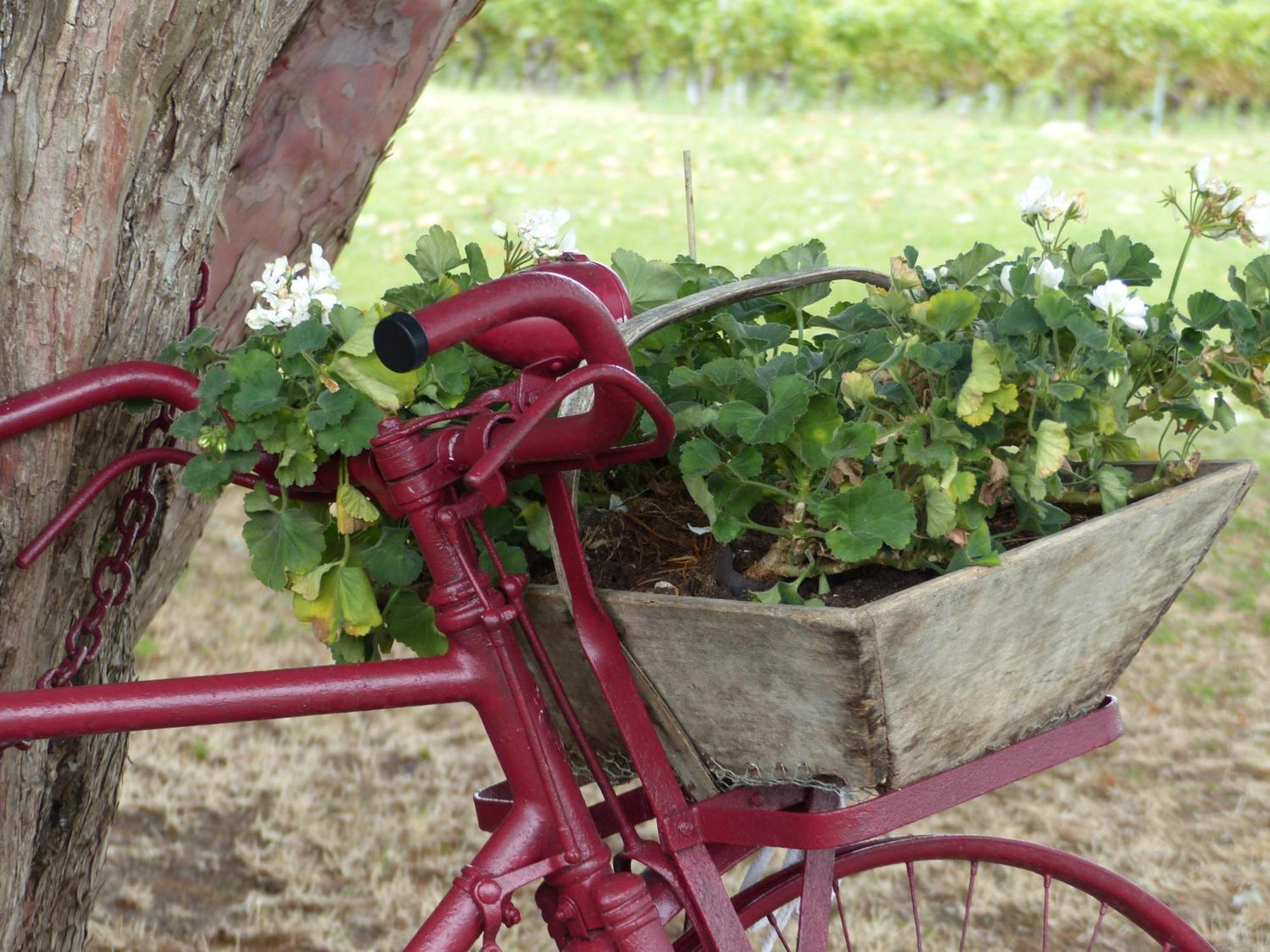 L'Alambic De L'Estuaire Bed and Breakfast Saint-Fort-sur-Gironde Buitenkant foto