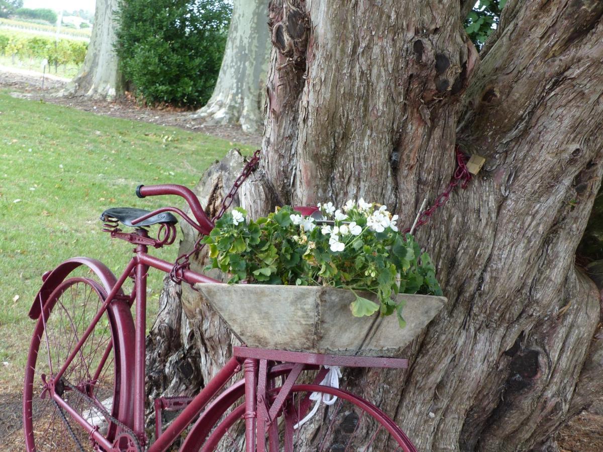 L'Alambic De L'Estuaire Bed and Breakfast Saint-Fort-sur-Gironde Buitenkant foto